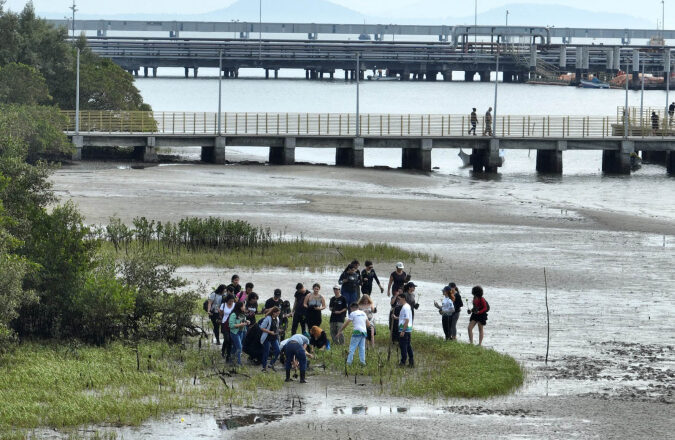 IAT promove recuperação de mangues, fiscalização e corrida ecológica no Litoral