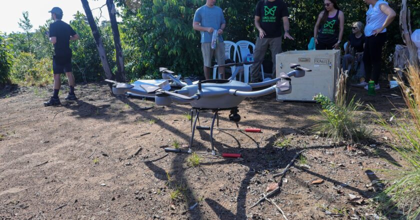 Tecnologias para mapear florestas tropicais favorecem transição verde