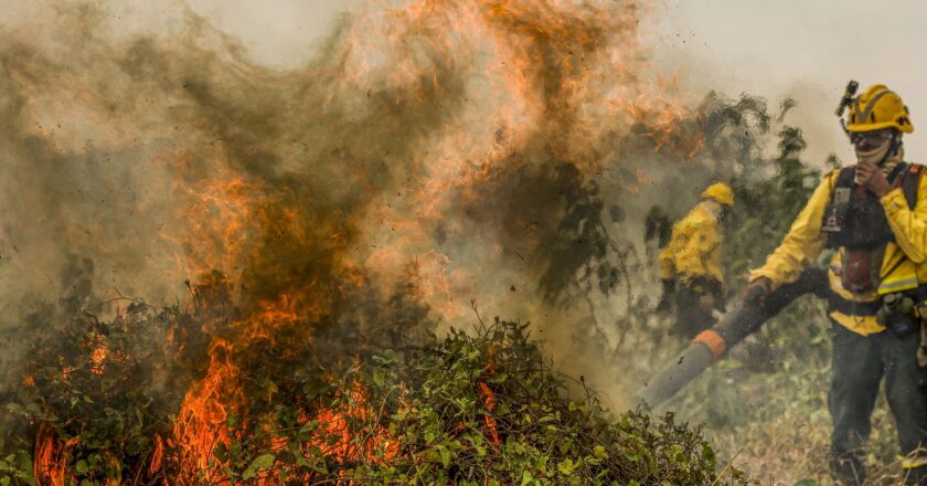 Fogo já consumiu 1,3 milhão de hectares e volta a aumentar no Pantanal