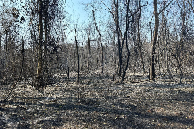 IAT ajuda a combater três novos focos de incêndio florestal no Paraná