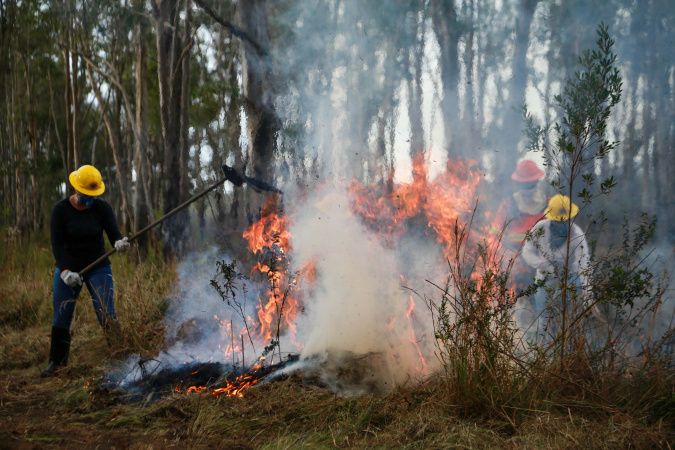 IAT emite alerta para risco elevado de incêndio em Unidades de Conservação