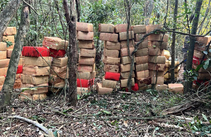 PMPR apreende 6 toneladas de maconha em área rural de Marechal Cândido Rondon