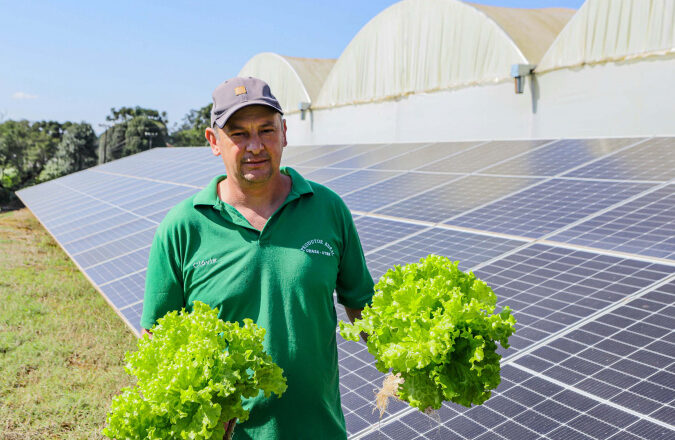 Transformação energética nos hidropônicos: energia solar reduz conta de produtor em 85%