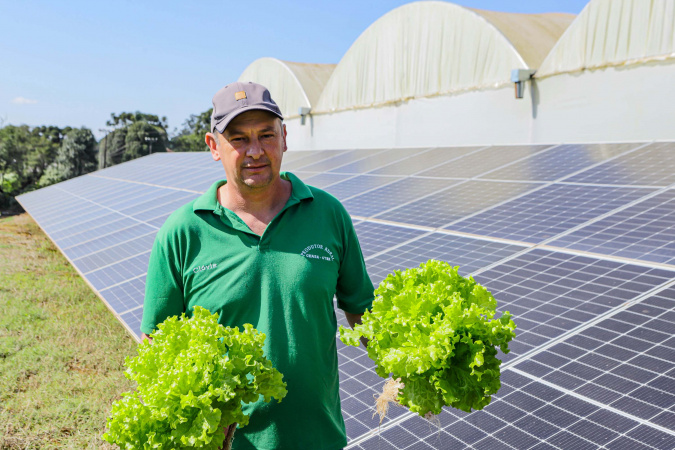 Transformação energética nos hidropônicos: energia solar reduz 85% consumo de produtor